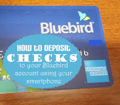 Buy Bluebird Bank Account